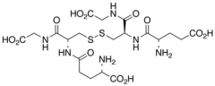 L-&alpha;-Glutamyl-L-cysteinylglycine Glutathione