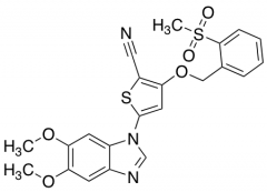 GSK 319347A