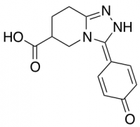 3-(4-Hydroxyphenyl)-5H,6H,7H,8H-[1,2,4]triazolo[4,3-a]pyridine-6-carboxylic Acid