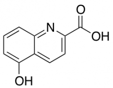 5-Hydroxyquinoline-2-carboxylic Acid
