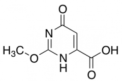 6-Hydroxy-2-methoxypyrimidine-4-carboxylic Acid