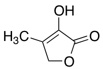 4-hydroxy-3-methyl-2H-furan-5-one