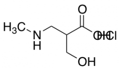 3-hydroxy-2-[(methylamino)methyl]propanoic acid hydrochloride