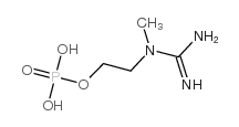 1-(2-Hydroxyethyl)-1-methylguanidine dihydrogen phosphate