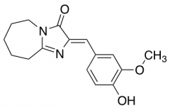 2-[(4-Hydroxy-3-methoxyphenyl)methylidene]-2H,3H,5H,6H,7H,8H,9H-imidazo[1,2-a]azepin-3-one