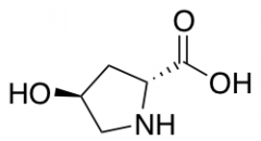 trans-4-Hydroxy-D-proline