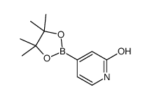 2-Hydroxypyridine-4-boronic acid pinacol ester
