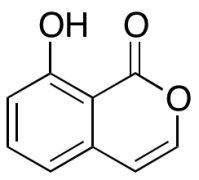 8-Hydroxy-1H-isochromen-1-one