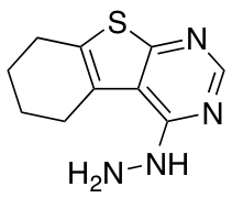 4-Hydrazinyl-5,6,7,8-tetrahydrobenzo[4,5]thieno[2,3-d]pyrimidine
