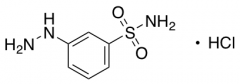 3-Hydrazinylbenzene-1-sulfonamide Hydrochloride