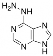 6-Hydrazinopurine