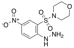 4-(2-Hydrazinyl-5-nitrobenzenesulfonyl)morpholine