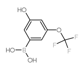 3-Hydroxy-5-(trifluoromethoxy)phenylboronic acid