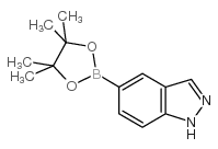 Indazole-5-boronic acid pinacol ester