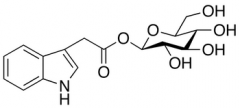 Indole-3-acetyl &beta;-D-Glucopyranose