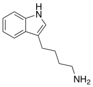 4-(1H-indol-3-yl)butan-1-amine
