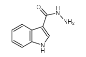 1H-Indole-3-carboxylic acid hydrazide
