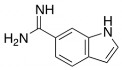 1H-Indole-6-carboximidamide