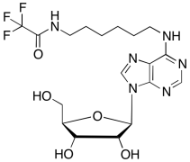 (-)-Inosine Dehydroxy-N-(6-iminohexyl)-2,2,2-trifluoroacetamide