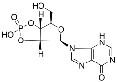 Inosine Cyclic 2',3'-Phosphate