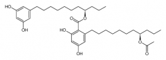 Integracin A