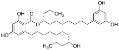 Integracin B