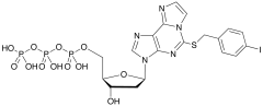 2-(Iodobenzyl)mercapto-1,N6-etheno-2&rsquo;-deoxy-ATP