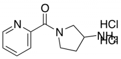 1-(pyridine-2-carbonyl)pyrrolidin-3-amine dihydrochloride