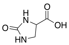 2-Imidazolidone-4-carboxylic acid