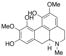 Isoboldine