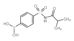 4-(N-Isobutyrylsulfamoyl)phenylboronic acid