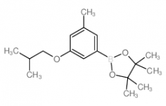 3-Isobutoxy-5-methylphenylboronic acid, pinacol ester