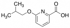 6-Isobutoxypicolinic Acid