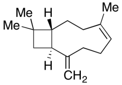 Isocaryophyllene (80%)