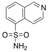 Isoquinoline-5-sulfonamide