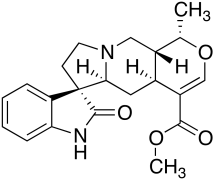 Isomitraphylline