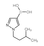 1-Isopentylpyrazole-4-boronic acid