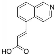 trans-3-(isoquinolin-5-yl)acrylic Acid