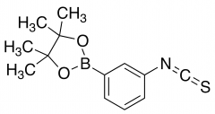 2-(3-Isothiocyanatophenyl)-4,4,5,5-tetramethyl-1,3,2-dioxaborolane