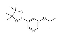 5-Isopropoxypyridin-3-ylboronic Acid Pinacol Ester