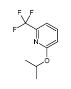 2-Isopropoxy-6-(trifluoromethyl)pyridine