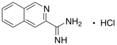Isoquinoline-3-carboximidamide Hydrochloride