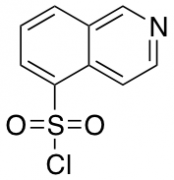 Isoquinoline-5-sulfonyl Chloride