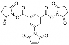 Maleimido-3,5-disuccinimidyl isophthalate