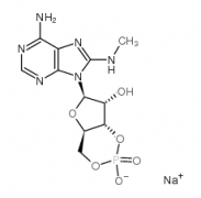 8-MA-cAMP