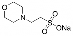 MES Sodium Salt