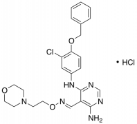JNJ 28871063 Hydrochloride