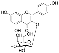 Kaempferol 3-​O-​D-​Galactoside