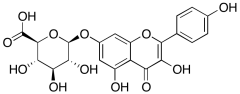 Kaempferol 7-glucuronide