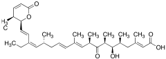 Leptomycin B (5 &mu;g/mL in Ethanol)